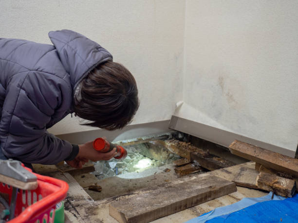 Best Real Estate Mold Inspection  in , CA