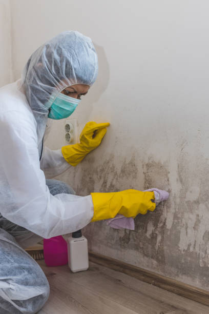 Best Comprehensive Air Testing for Mold Contaminants  in , CA