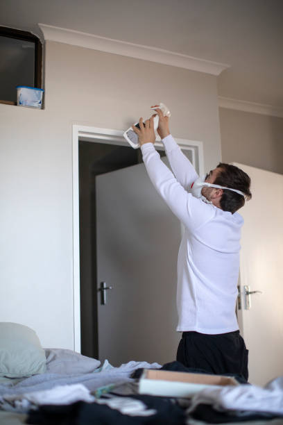 Best Mold Odor Removal Services  in , CA