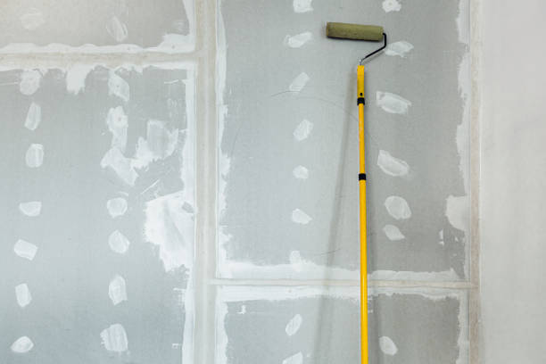 Best Crawl Space Mold Remediation  in , CA
