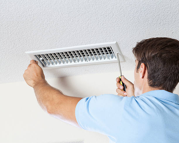 Best Industrial Mold Remediation  in , CA