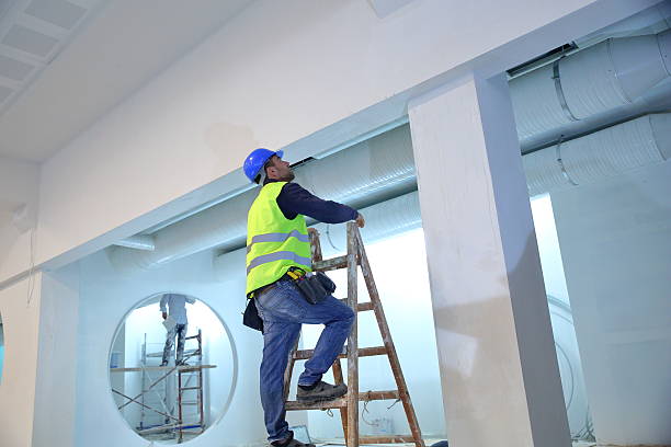 Best Mold Damage Restoration  in , CA