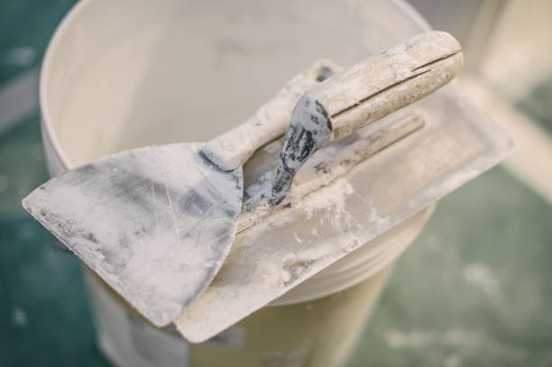 Best Post-Construction Mold Inspection  in , CA